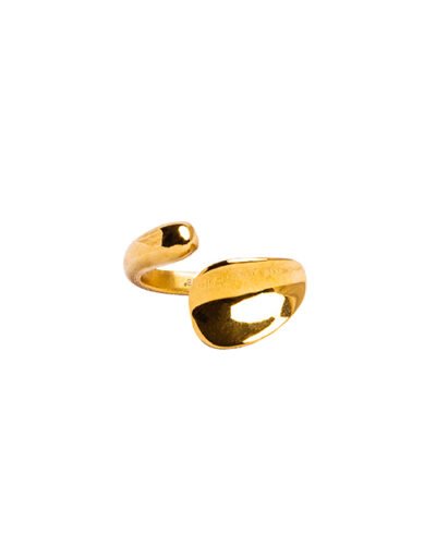 Stainless Steel Ring  ANGIE