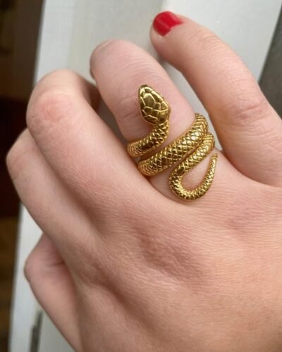 Stainless Steel Ring  SNAKE