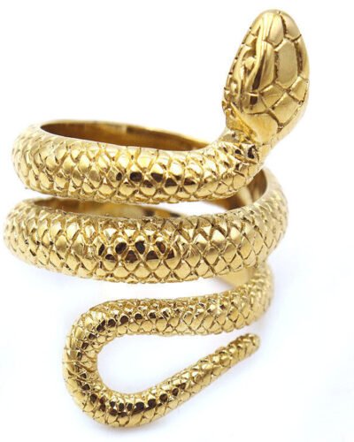 Stainless Steel Ring  SNAKE